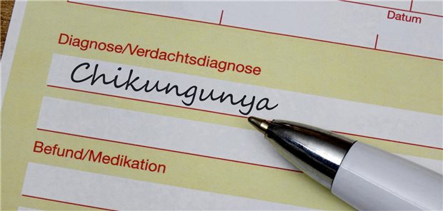 Neue Richtlinien zu Schutzimpfungen gegen COVID-19, Mpox und Chikungunya in Kraft Eine einmalige Impfung mit Lebend- oder Totimpfstoff wird empfohlen für Menschen, die in Chikungunya-Ausbruchsgebiete reisen.