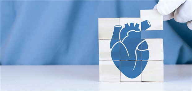 Eine schnelle Diagnosestellung und Therapieinitiierung ist für Erkrankte mit Herzinsuffizienz und reduzierter Ejektionsfraktion essenziell. 