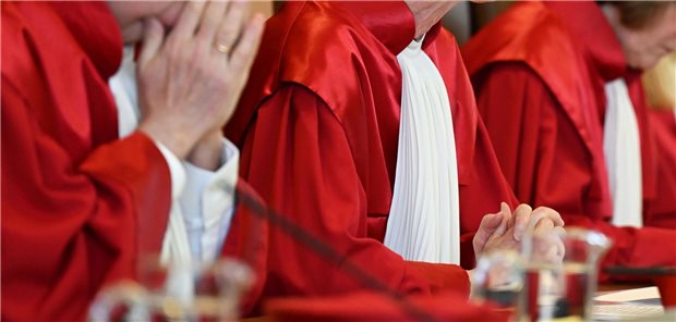 Richter am Bundesverfassungsgericht