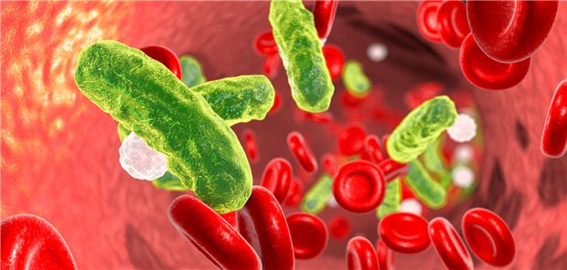 Bakterien im Blutstrom