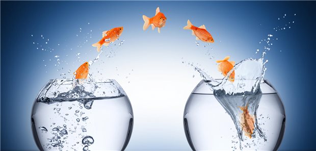 Personalien im Gesundheitswesen: Der Überblick über Jobwechsel und Ehrungen Fisch springt von einem Aquarium zum anderen.