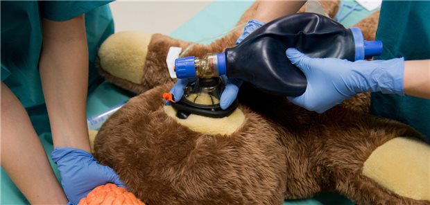 Ein Teddybär wird beatmet im Teddybärkrankenhaus