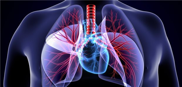 Herz und Lunge im Blick zu behalten, lohnt sich vor allem bei älteren, multimorbiden Patienten.