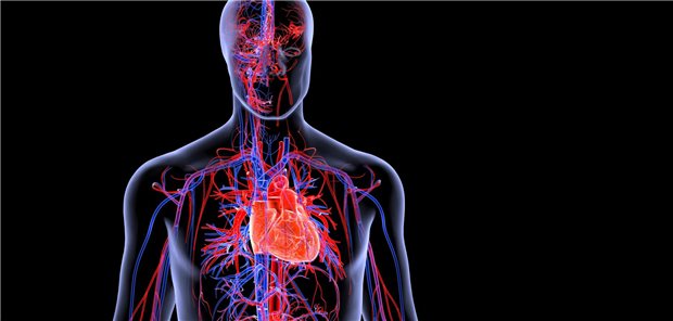 Herzinsuffizienz mit leicht reduzierter oder erhaltener Ejektionsfraktion ist die häufigste Form der Herzinsuffizienz und mit einem hohen Risiko für Hospitalisationen und kardiovaskulären Tod verbunden – insbesondere bei Vorliegen von Adipositas oder Typ-2-Diabetes.