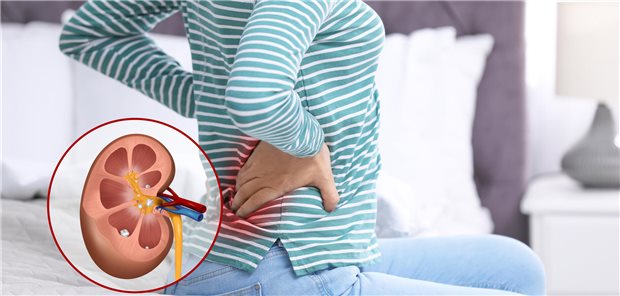 Ein Mädchen hälts ich den Rücken. Davor ist eine Abbildung einer Niere. 