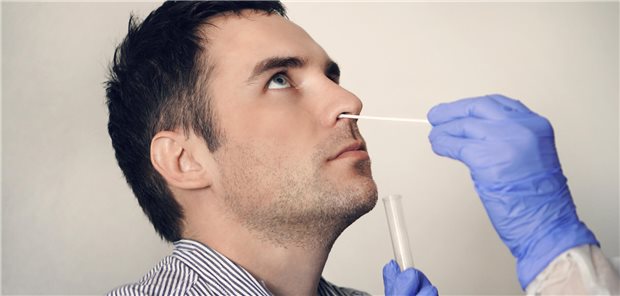 In der Studie wurde auch aus Nasenabstrichen per PCR die Viruslast bestimmt. (Symbolbild mit Model)