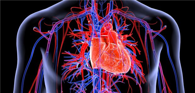 In einer globalen Leitlinie gibt es keine HFmrEF mehr. Möglicherweise wird sich das auch in europäischen Leitlinien niederschlagen.