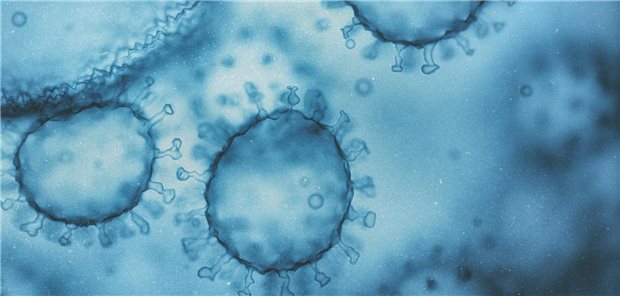 Wird die virale Sepsis zu schnell diagnostiziert? Konzeptuelle Darstellung eines Viruspartikel, dieser besteht aus einem Kern aus Nukleinsäure (DNA oder RNA), der von einer Proteinhülle umgeben ist.