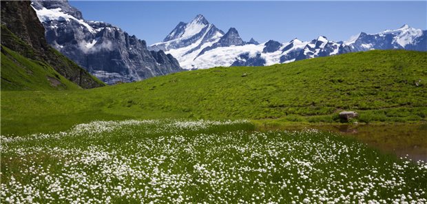 Der Berg ruft – auswanderungswillige Ärzte lockt vor allem die Schweiz Kann landschaftlich überzeugen: Die Schweiz.