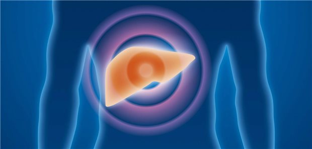 Gastroenterologen warnen vor europäischer Leberkrebs-Epidemie Leberkrebs forderte im Jahr 2022 in der EU mehr als 50.000 Todesopfer.