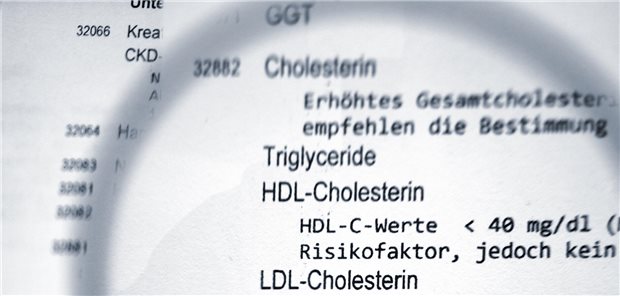 Vergrößerte Betrachtung der Triglyzerid- und Cholesterin-Werte einer Blutanalyse durch eine Lupe.