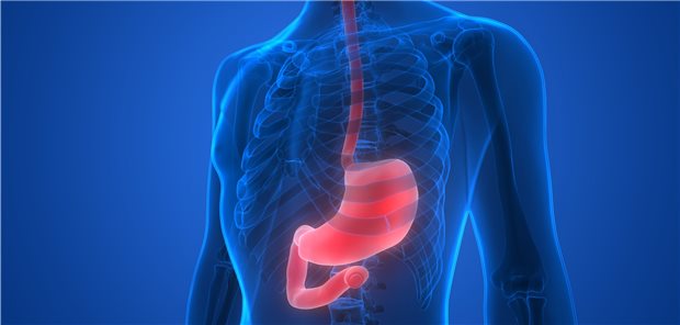 Ruminationssyndrom: Häufig übersehen oder falsch diagnostiziert Ösophagus und Magen: Beim Ruminationssyndrom kommt es zu einem Anstieg des intragastrischen Drucks und einer Entspannung des oberen und unteren Sphinkters der Speiseröhre.