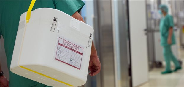 Ein Mann trägt einen Styropor-Behälter zur Transplantation vorgesehenen Organen zun einem OP-Saal.