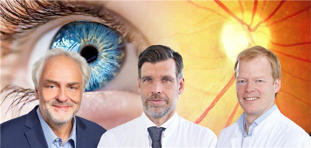 RVV: Interdisziplinär gegen Sehverlust, Herzinfarkt und Schlaganfall kämpfen Prof. Dr. Ralf Dechend (links), Prof. Dr. Armin Wolf (Mitte), Prof. Dr. Nicolas Feltgen (rechts)