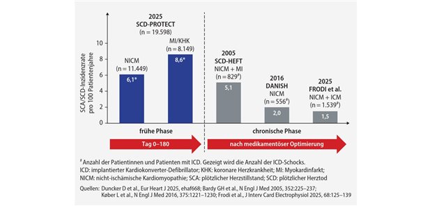 SCD-Schutz in früher HF-Phase SCD-PROTECT-Studie-- Frühe Phase nach Diagnose einer Herzinsuffizienz – deutlich höheres Risiko für den plötzlichen Herztod als in der chronischen Phase.