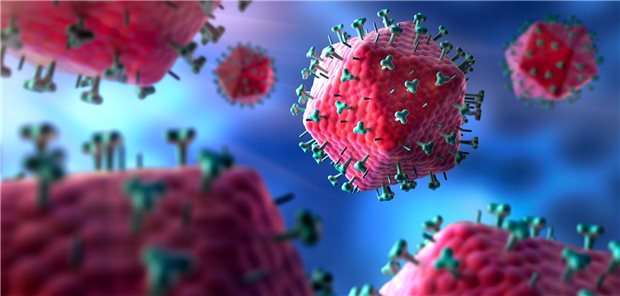 Charité gelingt „zweite HIV-Heilung“ Schematische Darstellung des HI-Virus