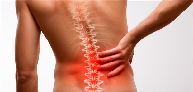 Cannabis-Arznei VER-01 punktet bei chronischen Rückenschmerzen Ein Mann hält sich den roten unteren Rücken fest.