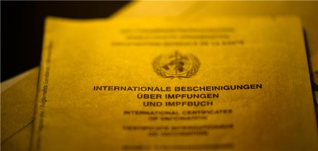 Schon bald könnte auch die RSV-Impfung in den Impfpass eingetragen werden.