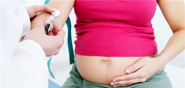 Abgeordnetengruppe will Folgen des nicht-invasiven Pränataltests untersuchen lassen Blutprobe