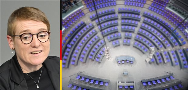 Abgeordnete im Porträt: Simone Fischer (B90/Grüne) Simone Fischer