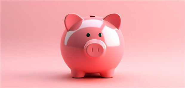 10-Punkte-Plan: Privatversicherer wollen Pflegeversicherung komplett umkrempeln Ein Sparschwein