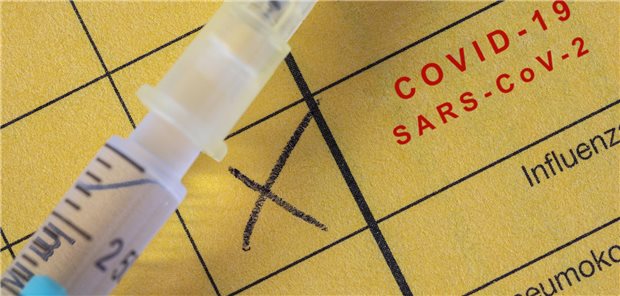 Spritze auf Impfnachweis