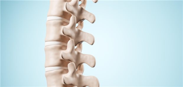 Um die Knochendichte im Bereich der Lendenwirbelsäule bei Übergewichtigen oder Adipösen mit metabolischem Syndrom zu stabilisieren, eignet sich einer Studie zufolge eine kalorienreduzierte mediterrane Kost in Kombination mit vermehrter körperlicher Aktivität. Dies galt aber nur für Frauen, nicht für Männer.