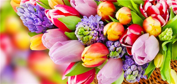 Selbstverwaltung hofft auf neuen Kommunikationsstil unter Nina Warken Verbale Blumensträuße für die designierte Bundesgesundheitsministerin: Die Selbstverwaltung setzt auf die Neue an der BMG-Spitze.