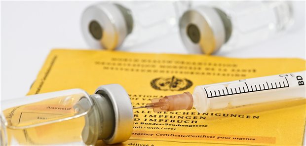 Eine Spritze steckt in einem Fläschchen, beides liegt auf einem Impf-Ausweis.