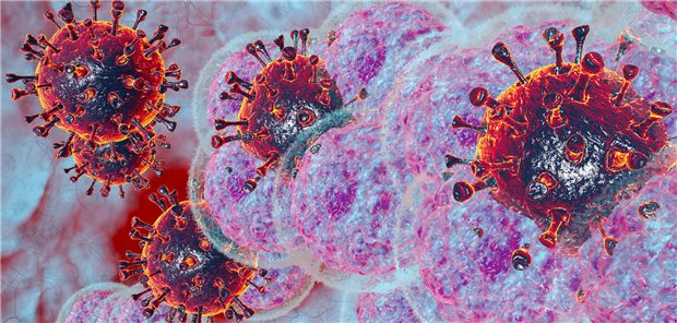 Vitamin C ist wichtig für die Abwehr von Viren und Bakterien. Es ist essenziell für die Aktivität der natürlichen Killerzellen. (Symbolbild)