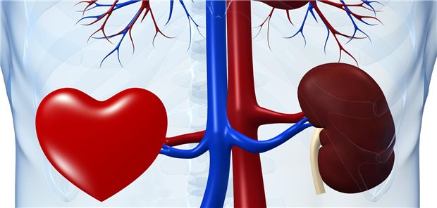 Von einer Therapie mit einem SGLT-2-Hemmer bei Typ-2-Diabetes können sowohl das Herz als auch die Nieren profitieren.