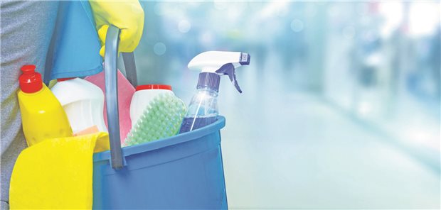 Eine Frau mit Putzutensilien