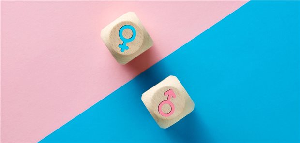 Würfel mit Mann- beziehungsweise Frau-Symbol auf pinkem bzw. blauem Hintergrund.