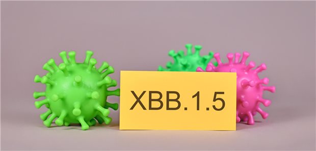 XBB.1.5 Omicron-Subvariante (schematische Darstellung)